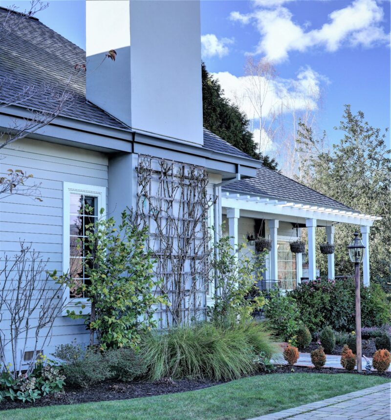 Wood repair, siding repair and surface prep