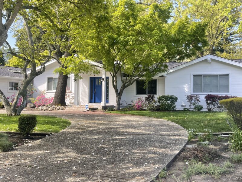 Front door and garage door painting